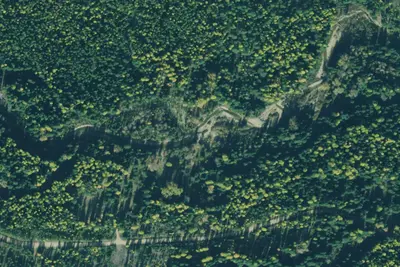 Rd 231 Site 8