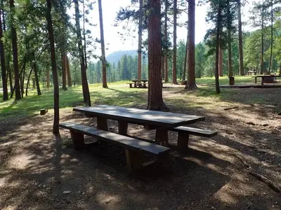 Pactola campground