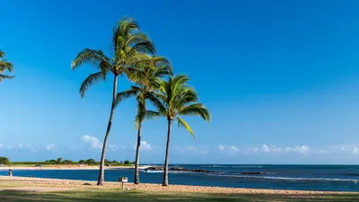 Beach at Salt Pond Park, Kauai, Hawaii (41862317925)