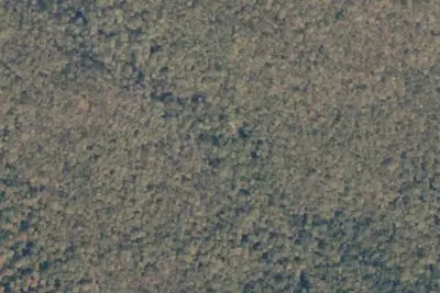 Camp site