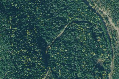Rd 4654 Site 1