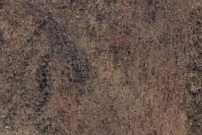 Camp site