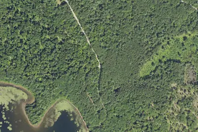 Little Bass Lake Campsites