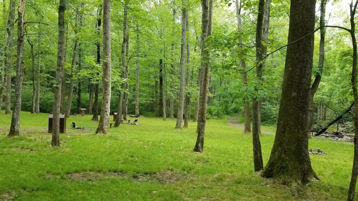 Primitive sites at Rock Castle Gorge include fire grate and food storage locker.