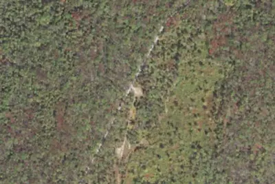 Haunted Hollow - Michaux Campsite #9