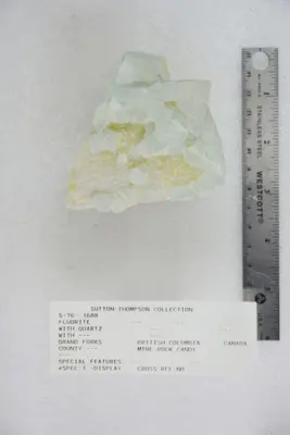 Fluorite with Quartz (47122305684)