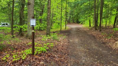 Minerva Lake Camping Area