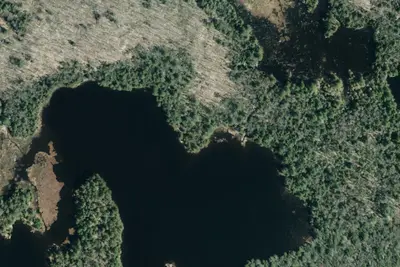 Camp site
