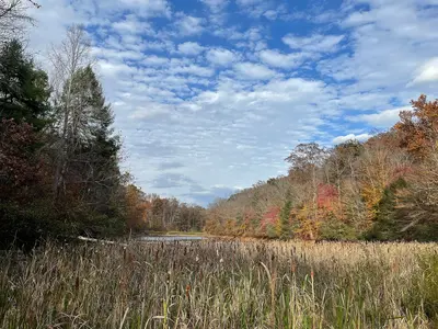 JR-10-30-23-branchpond
