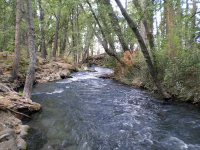 Redding, CA, USA - panoramio (8)