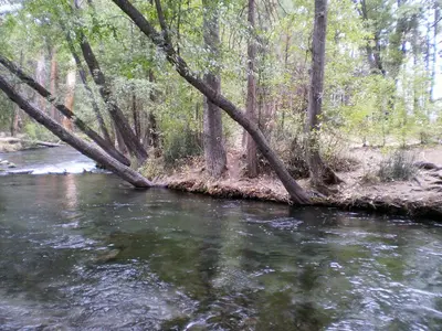 Redding, CA, USA - panoramio (4)