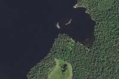 Camp site