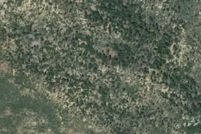 Mission Pine Spring Camp