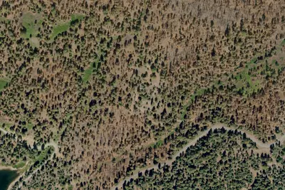 Hutchins Group Campground
