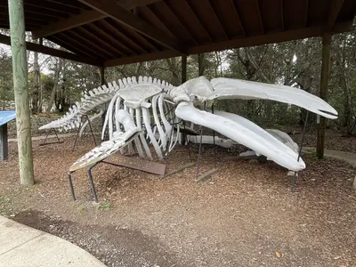 MacKerricher State Park - April 2023 - Sarah Stierch 01