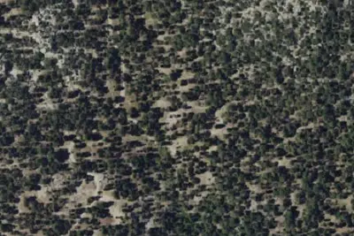 Black Mountain Group Campground