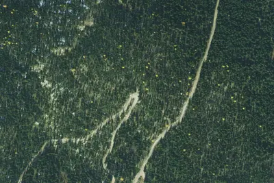 Fs Road 2667 (Roman Nose Access)