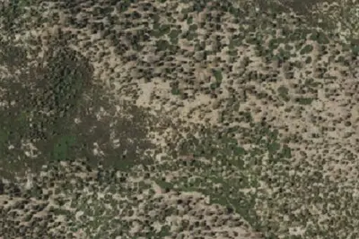 Camp site