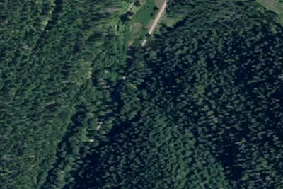 Mm 0.5 F.P. Disp. Site #55