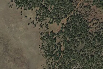 Camp site
