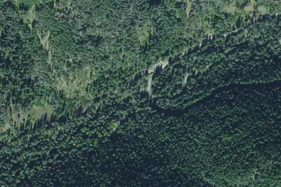 Rd 2262 Site 1