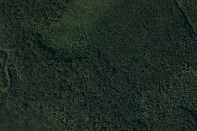 Site #2
