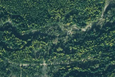 Rd 231 Site 6