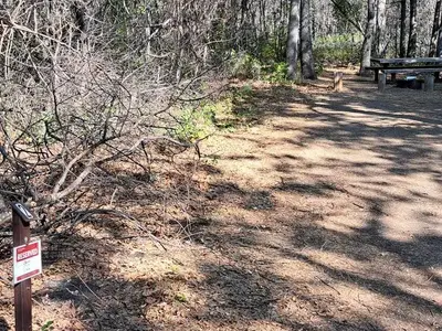 Windy Point Campground Site #2