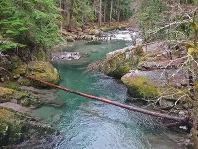 Ohanapecosh river
