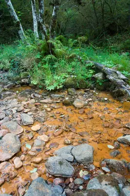 Iron Mike Mineral Springs (4100918191)