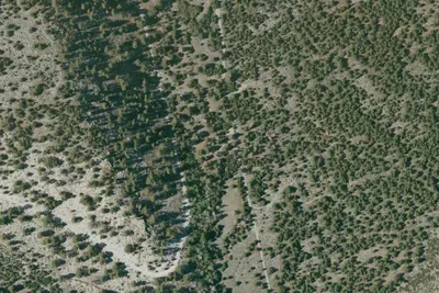 Bald Mountain Springs Campground