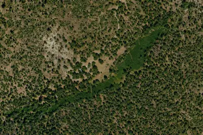 Aspen Hollow Group Campground