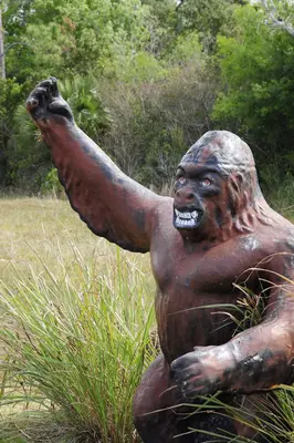 The Florida Skunk Ape - panoramio