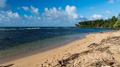 Beach at Anahola Beach Park, Kauai, Hawaii (41862074655)