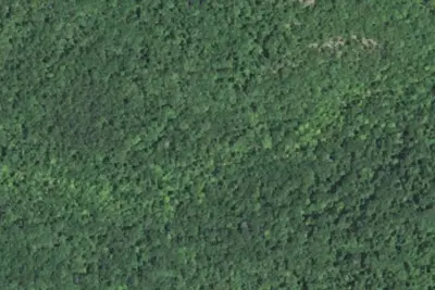Camp site