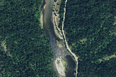 Nf247rd-004a