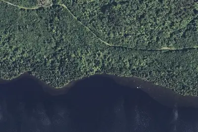Camp site
