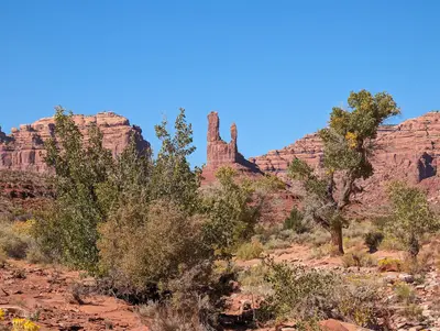 Annular Eclipse in Valley of the Gods - 53317693785