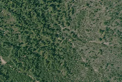 Camp site