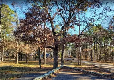 Fall view of Winding Stair Campground