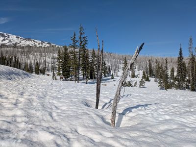 Mount Adams Morrison Creek ski tour (5 May 2025) (15093)