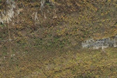 Camp site