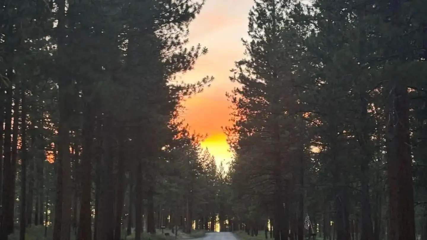 Fall Sunset
