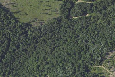 Hemlock Run Campsite