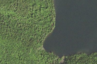Rose Lake #3