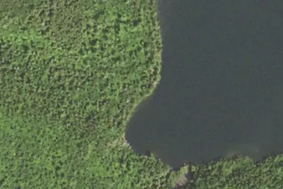 Rose Lake #3