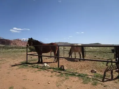 Ken's Lake Group Campsite A horses in corral