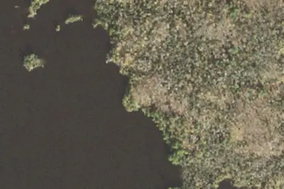 Birch Lake Site 10