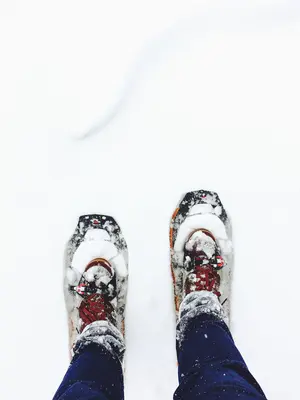 Walking in a Utah winter (Unsplash)