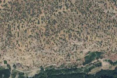 Camp site